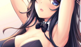 动漫兔女郎,兔女郎的奇幻冒险之旅