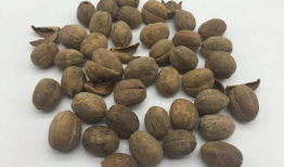 吃瓜爆料小巴豆视频,视频背后的惊人真相